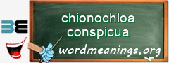 WordMeaning blackboard for chionochloa conspicua
